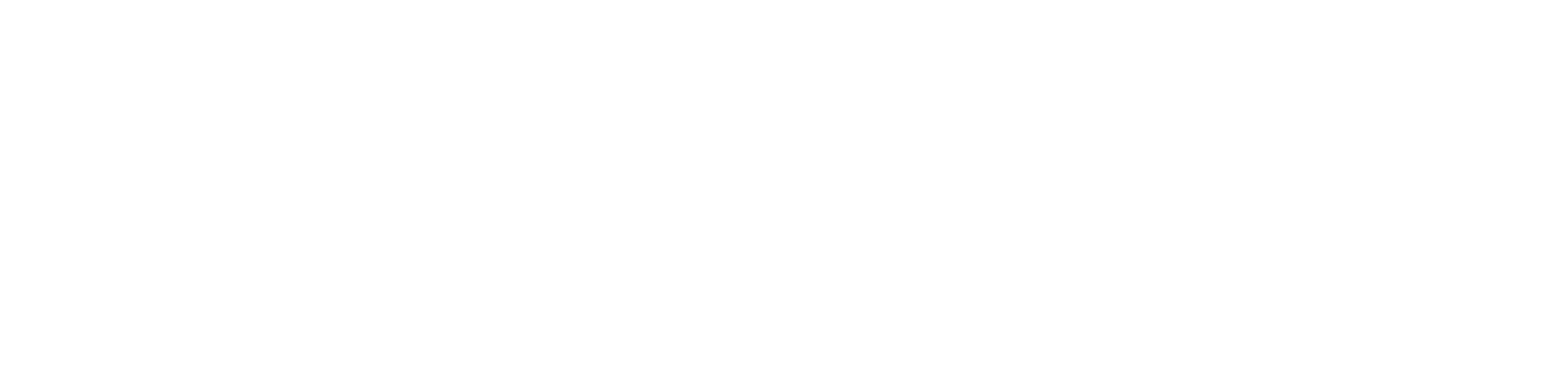 LOGO ALPRINT